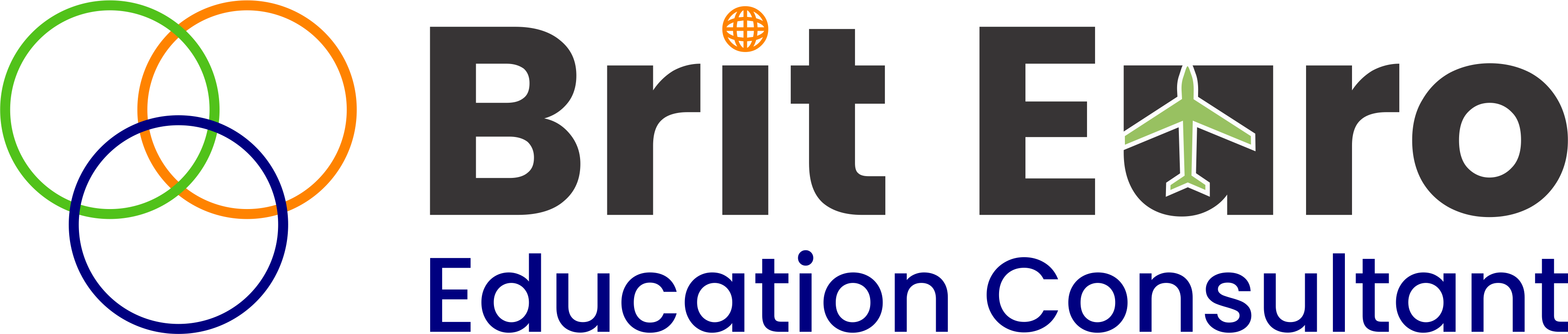 Brit Euro Education Consultant
